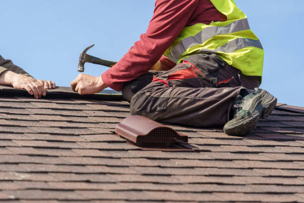 Best Metal Roofing Contractor  in Casey, IL