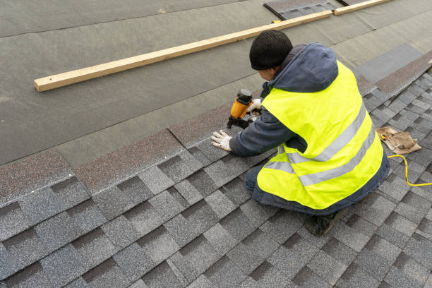 Best Metal Roofing Contractor  in Casey, IL